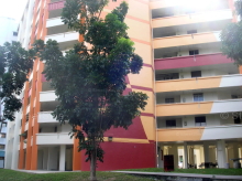 Blk 109 Hougang Avenue 1 (Hougang), HDB 4 Rooms #242892